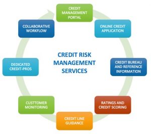 credit management